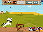 Gioco online Giochi di Zebre - Racing Zebra